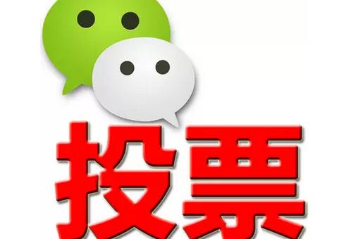 湖北省微信投票功能开发 上传图片投票